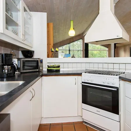 Semesterbostad 12 Person Holiday In Bl Vand Ho